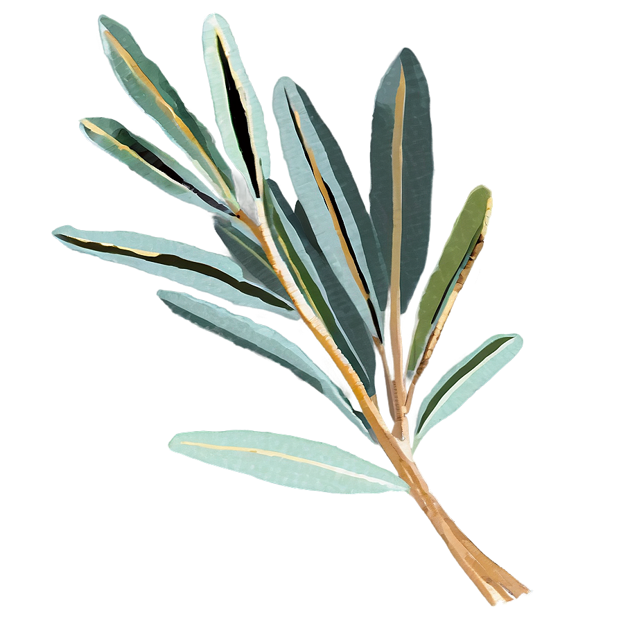 Dried Eucalyptus Bundle Png Ptu