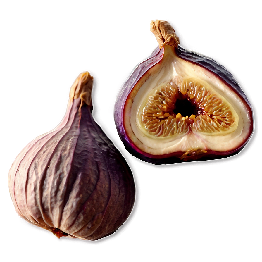 Dried Fig Graphic Png 06202024