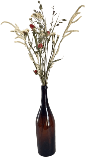 Dried Flowersin Brown Bottle Vase