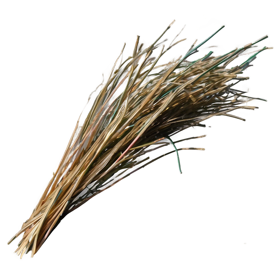 Dried Grass Clippings Png 67