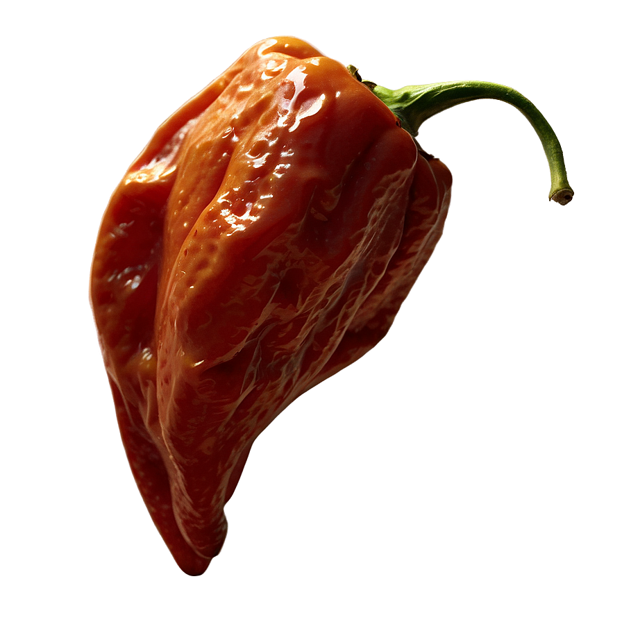 Dried Habanero Pepper Png Eci9