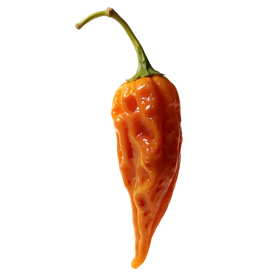 Dried Habanero Pepper Png Mlm8