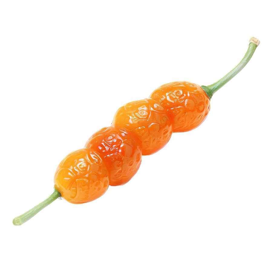 Dried Kumquat Png Inq51