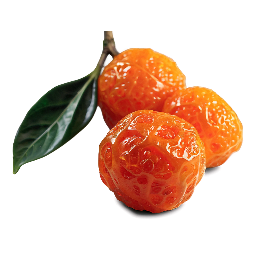 Dried Kumquat Png Vnj67