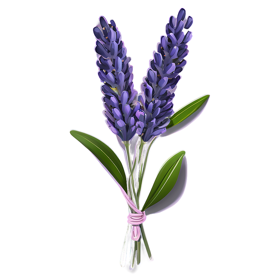 Dried Lavender Bunch Png Dre