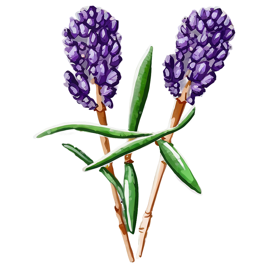 Dried Lavender Decor Png Hxx99