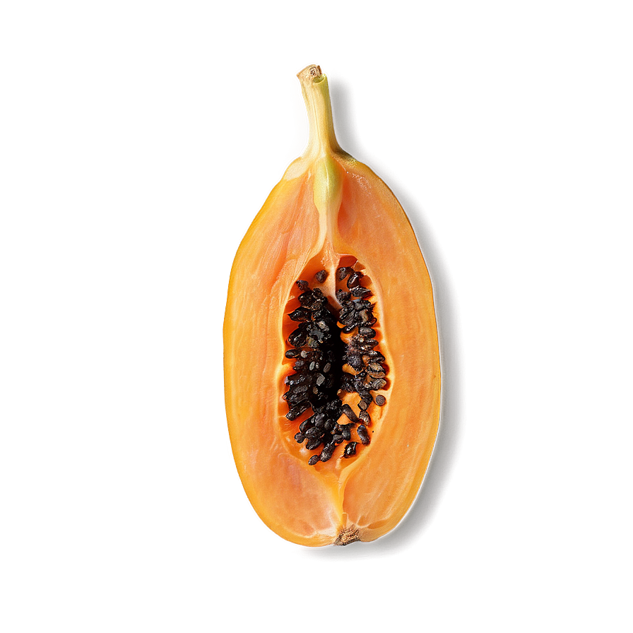 Dried Papaya Png 06122024