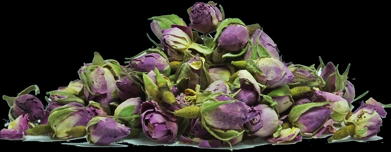 Dried Rose Buds Black Background