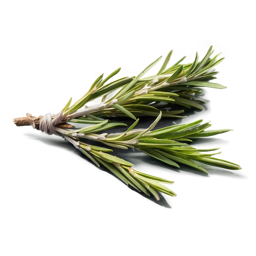 Dried Rosemary Spice Png Yyu