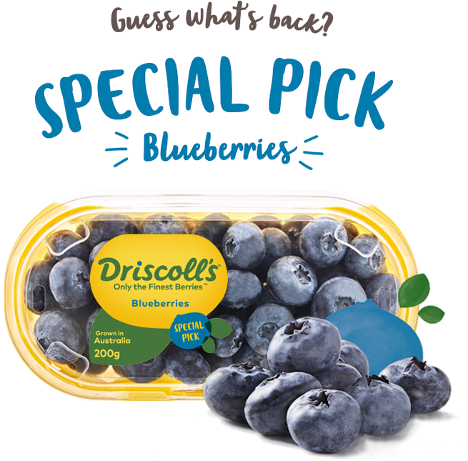 Driscolls Special Pick Blueberries Packaging