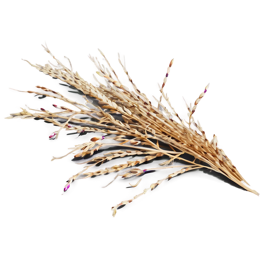 Dry Dead Grass Png Sju