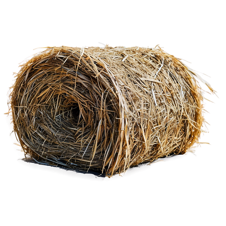 Dry Hay Texture Png 31