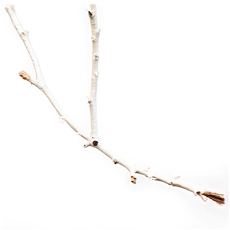 Dry Twig Png 42