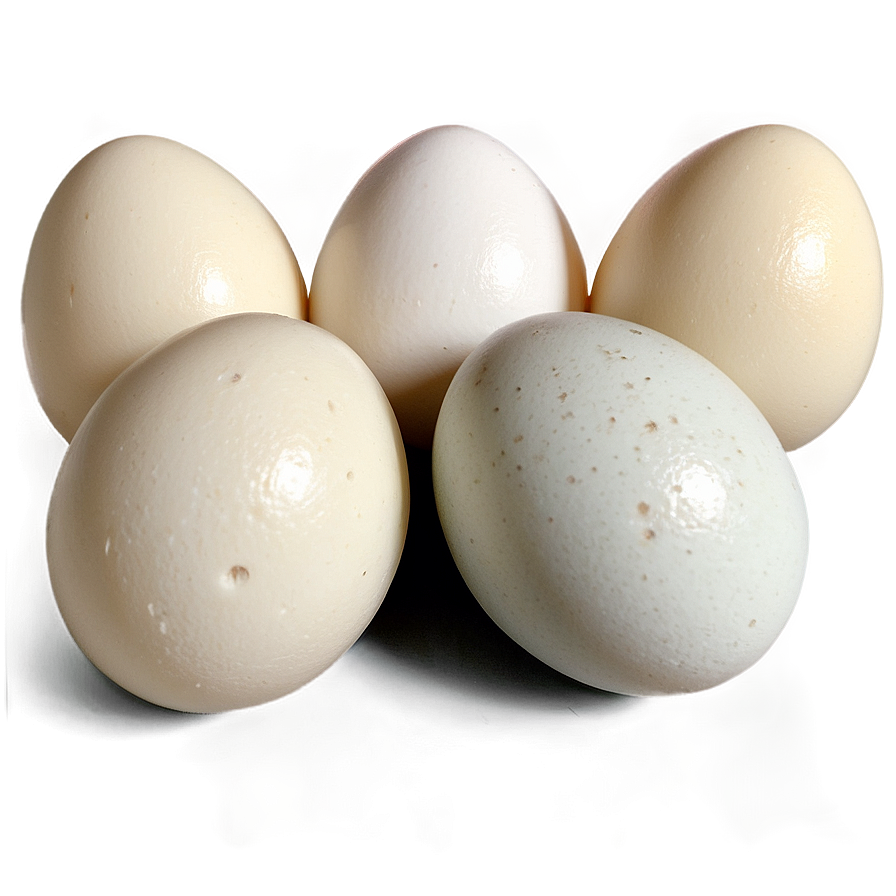 Duck Eggs Png 86