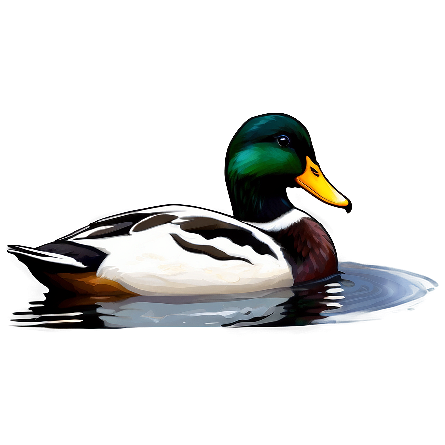 Duck In Nature Png 21