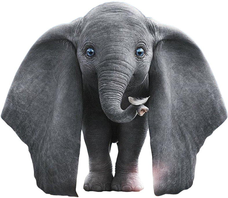 Dumbo The Flying Elephant