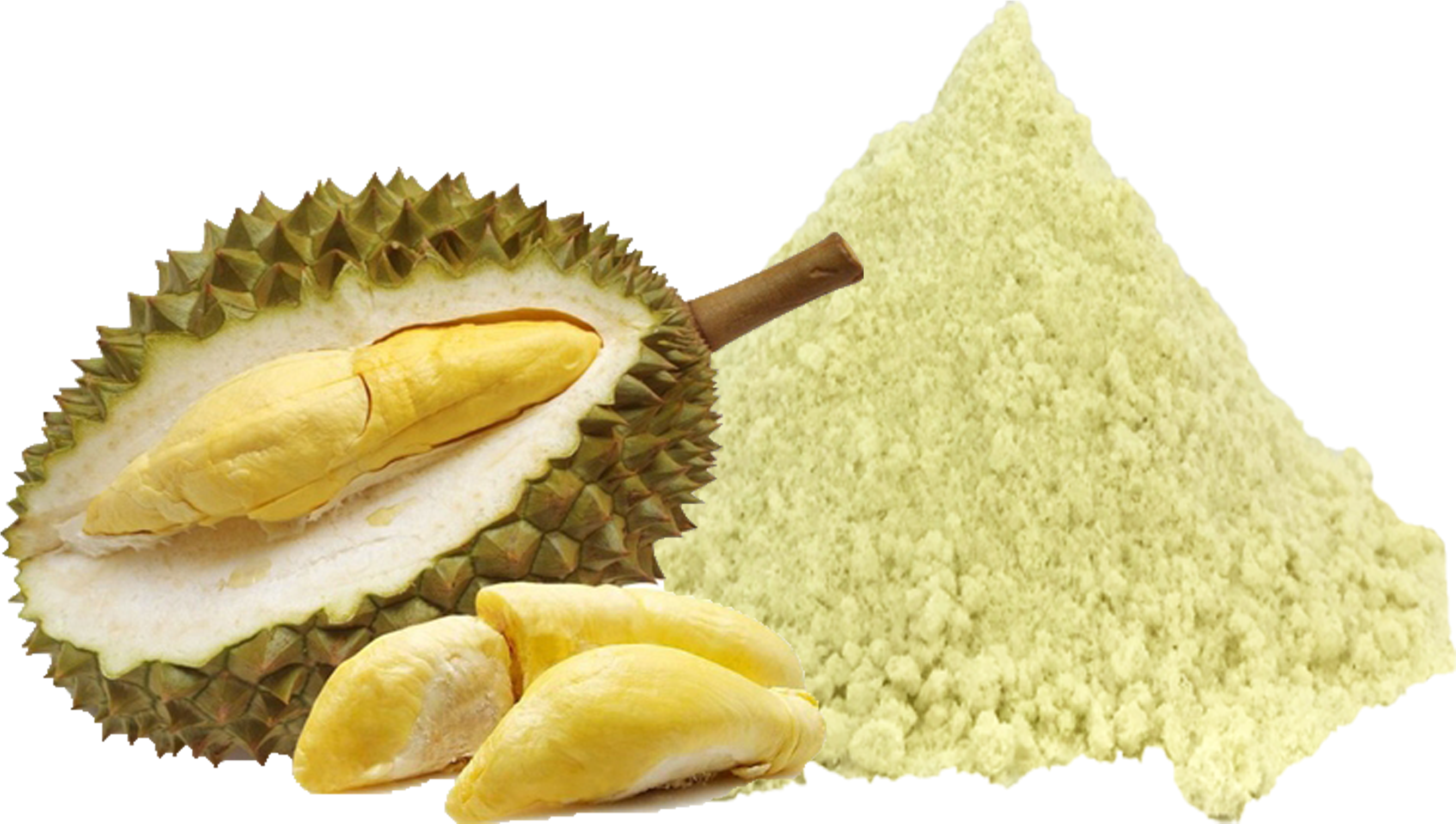 Durian Fruitand Powder