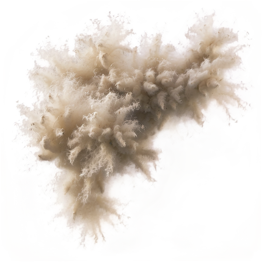 Dust Particles Floating In Air Png Bjy51