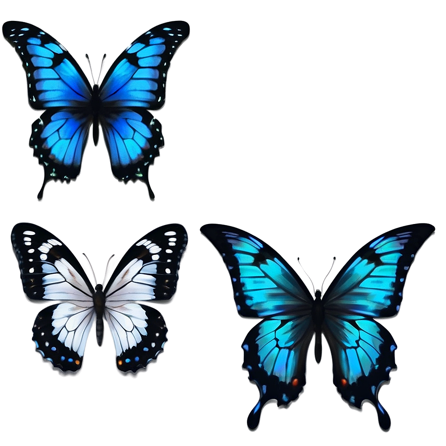 Dynamic Black Butterfly Png Drp70