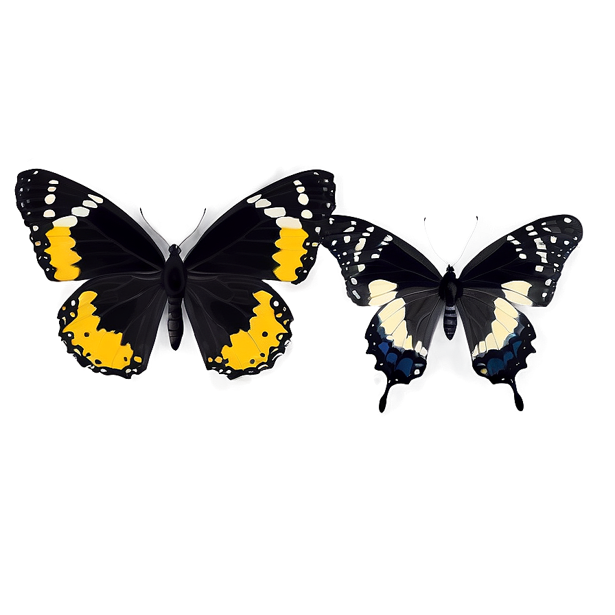 Dynamic Black Butterfly Png Xeo