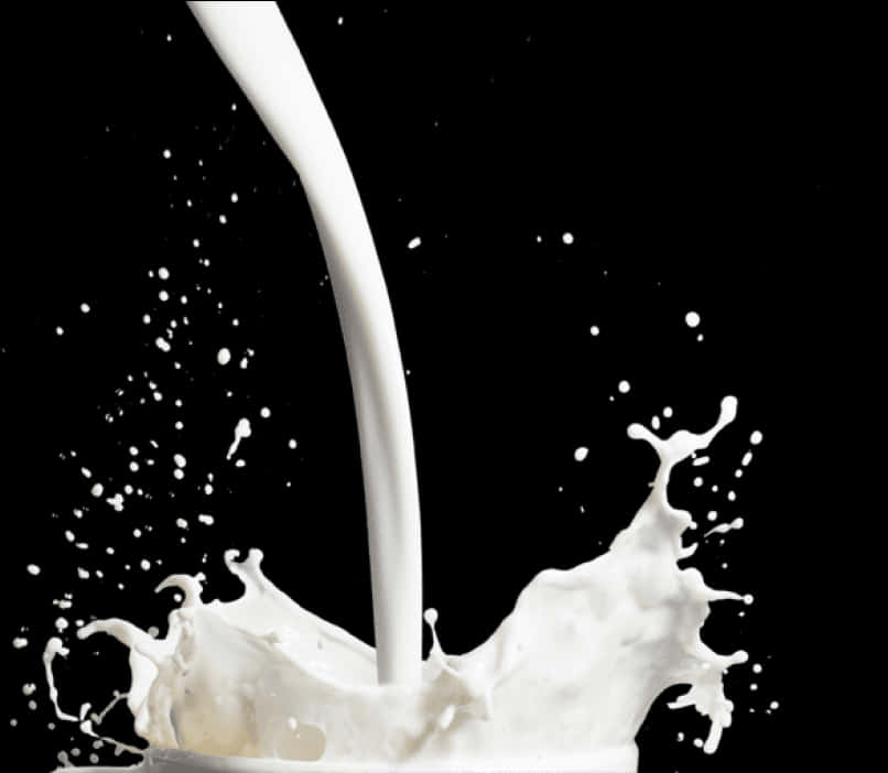 Dynamic Milk Splash Photography