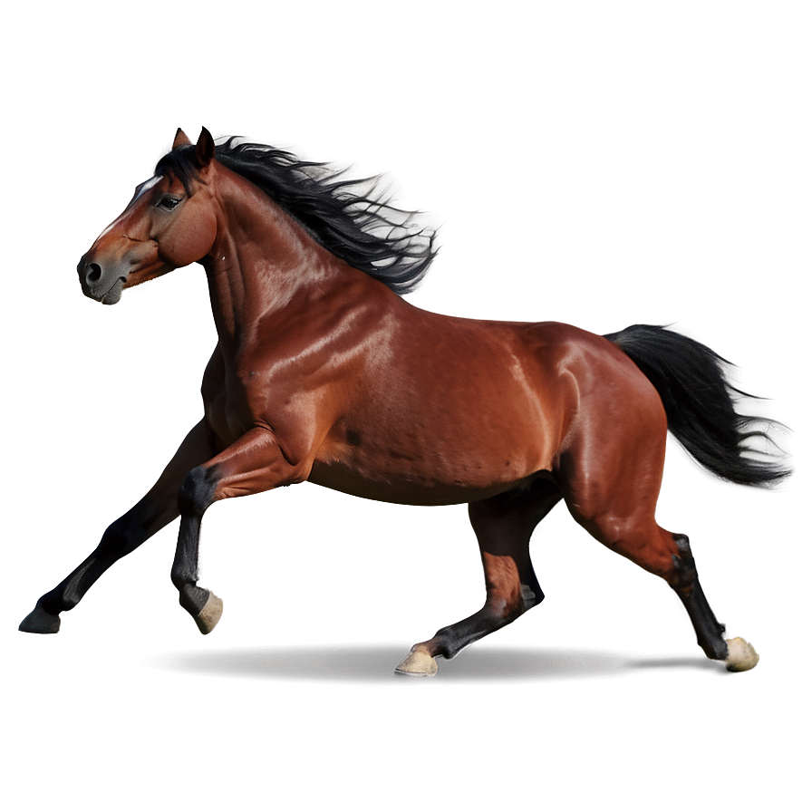 Dynamic Mustang Horse Action Png Mqk