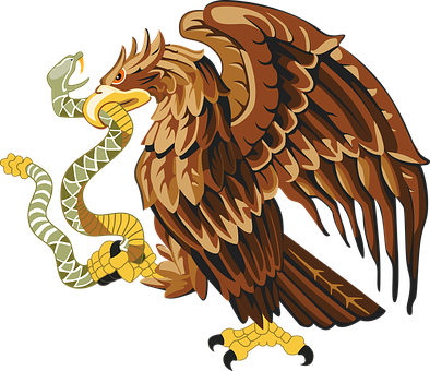 Eagle Grasping Snake Illustration