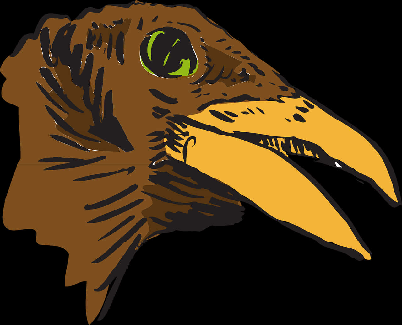 Eagle Head Illustration