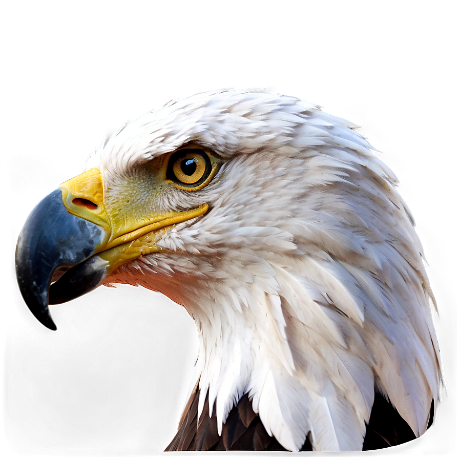 Eagle Head Profile Png 2