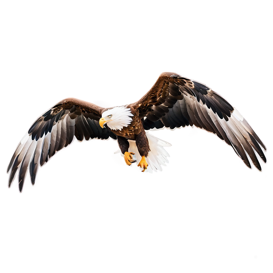 Eagle Wings In Motion Png 84