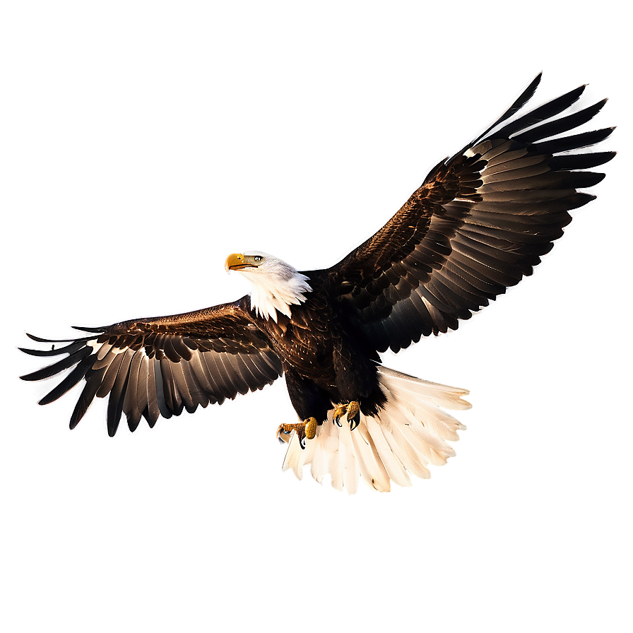 Eagle Wings Silhouette Png 85