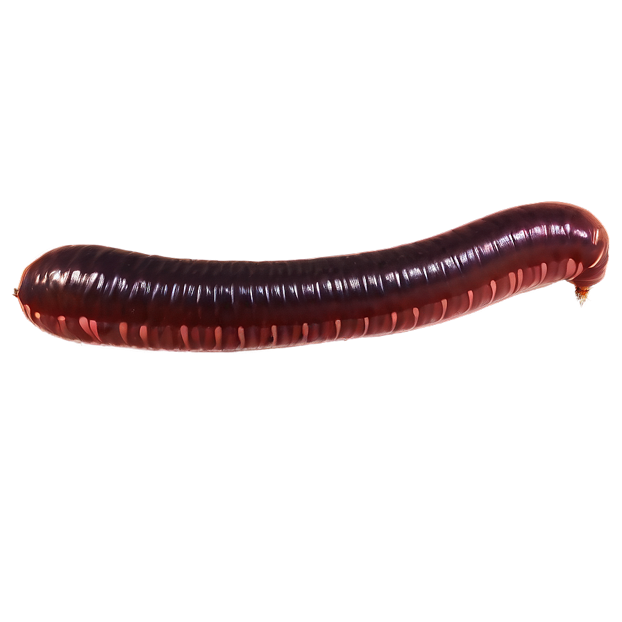 Earthworm At Night Png Ggy