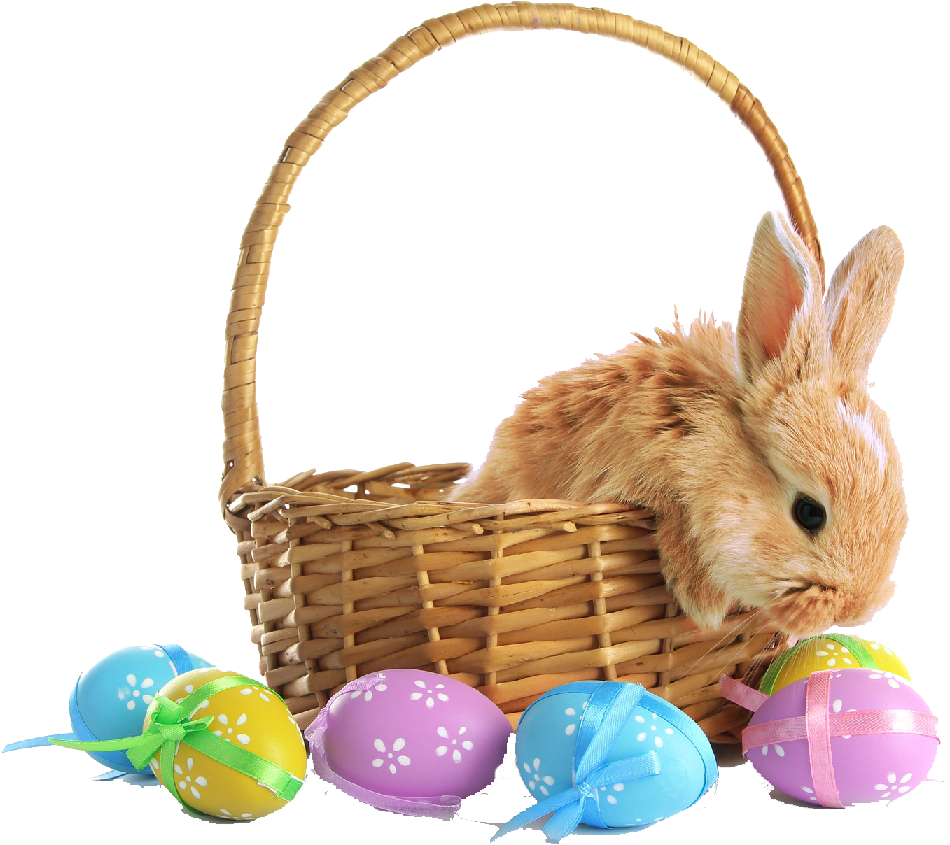 Easter Bunnyin Basketwith Decorated Eggs.png