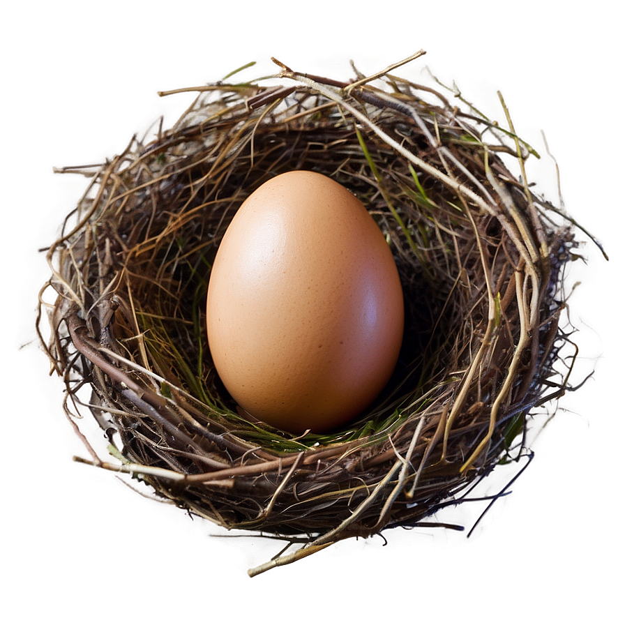 Easter Egg Nest Png Nia49