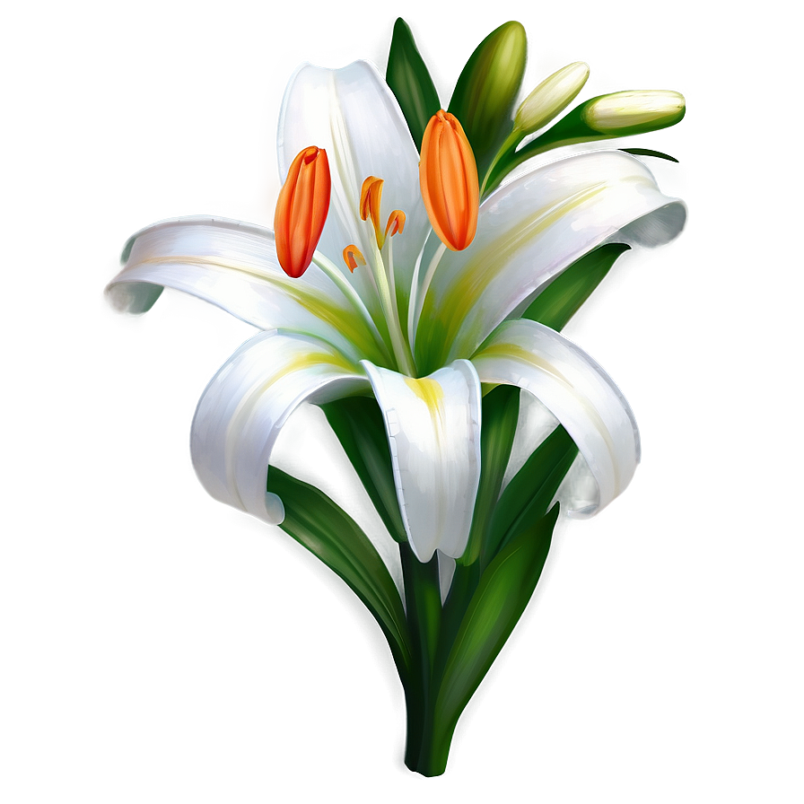 Easter Lily Clipart Png 06262024