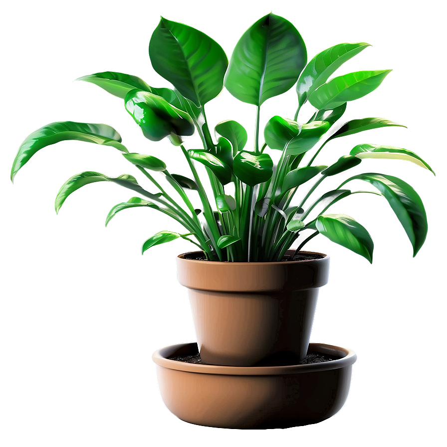 Easy Care Houseplant Png 2