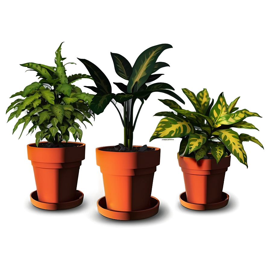 Easy Plant Care Png Guu