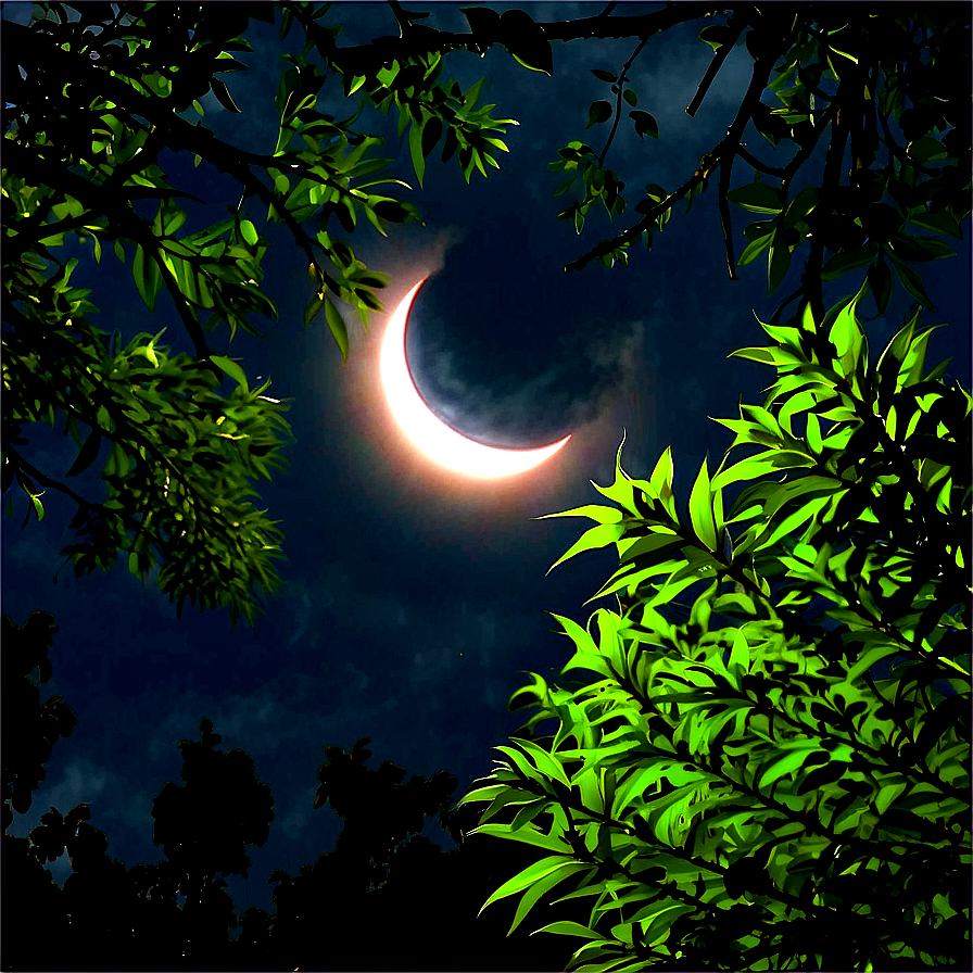 Eclipse Through Trees Png Tse