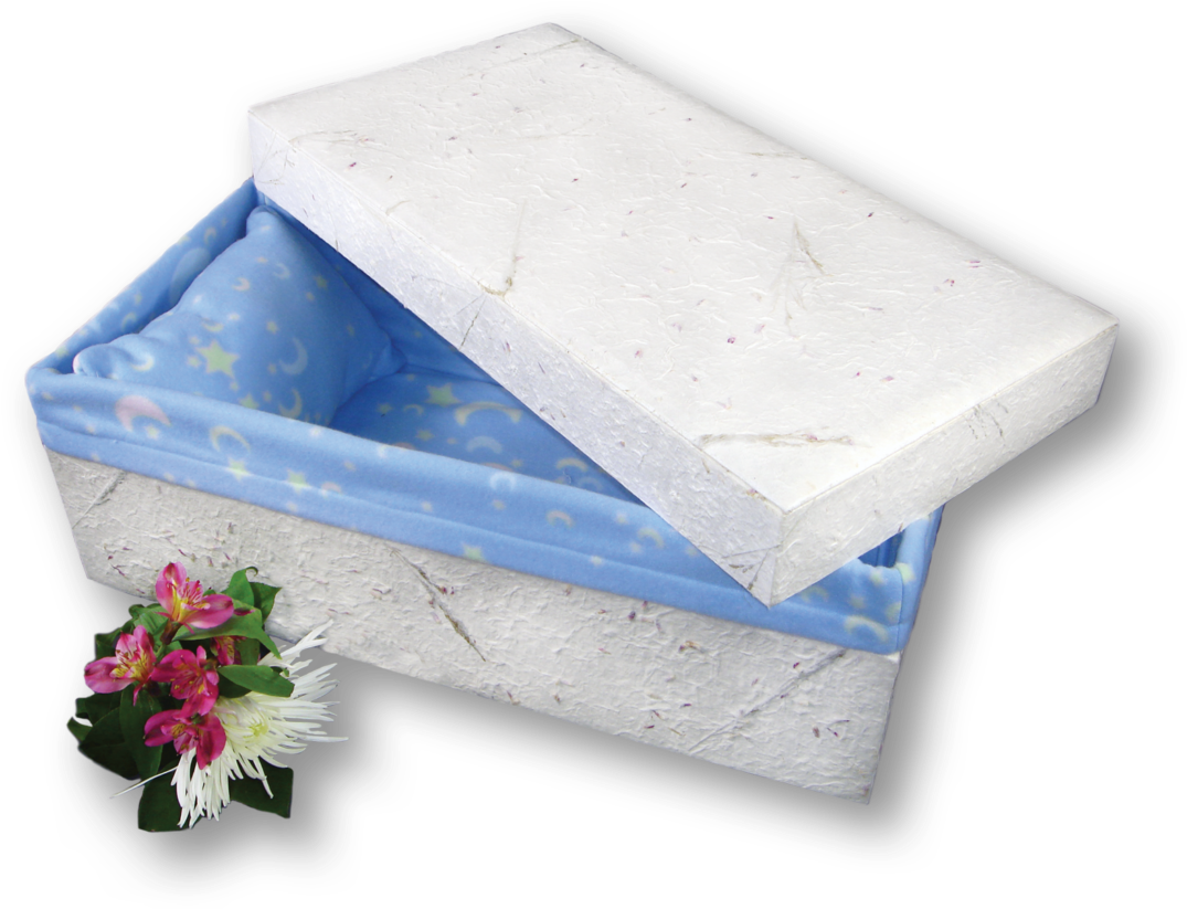 Eco Friendly Coffinwith Floral Tribute