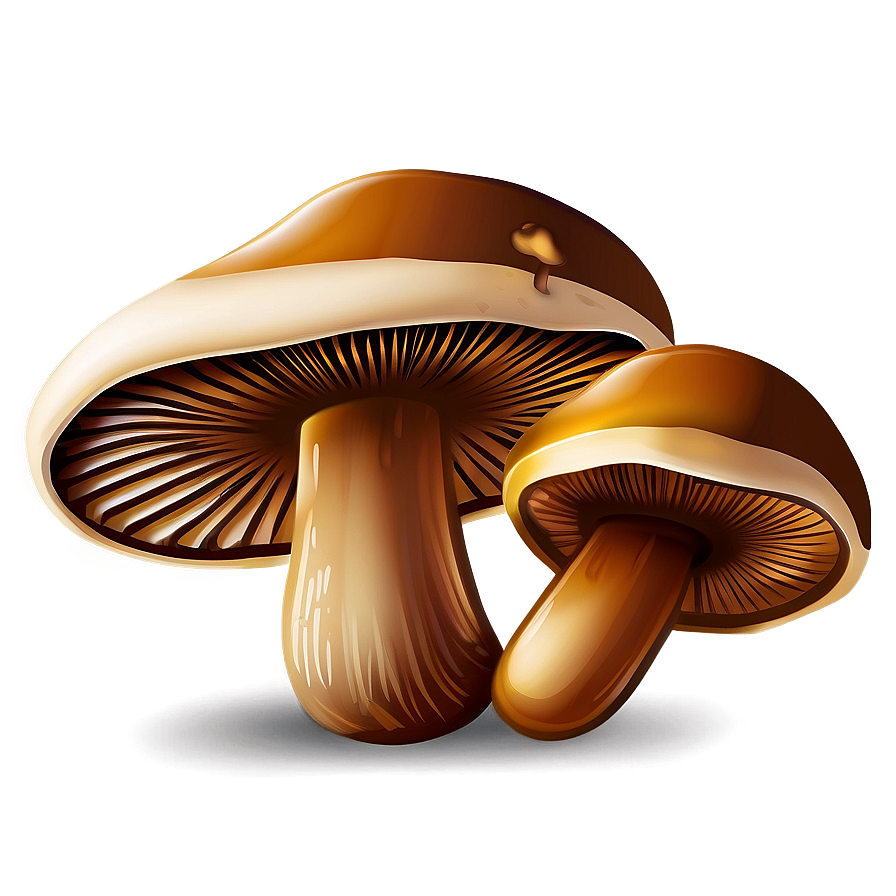 Edible Mushroom Cartoon Png 06272024