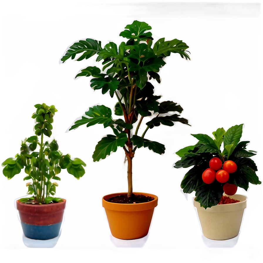 Edible Potted Plants Png 06122024