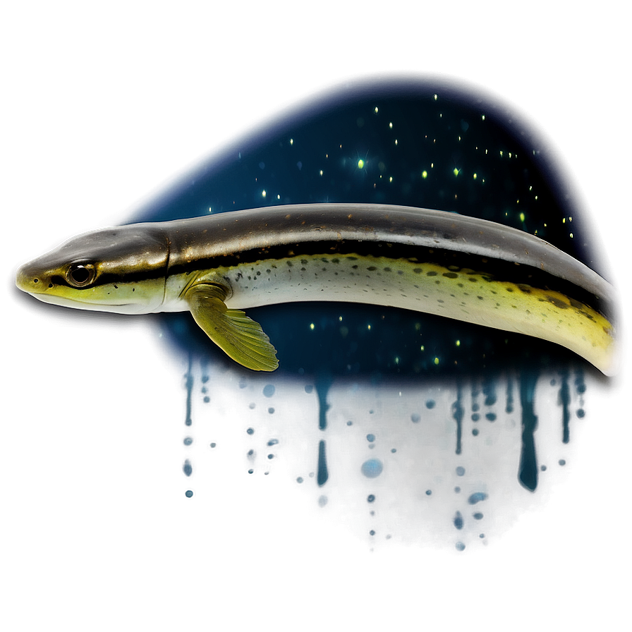 Eel Night Scene Png Xqt