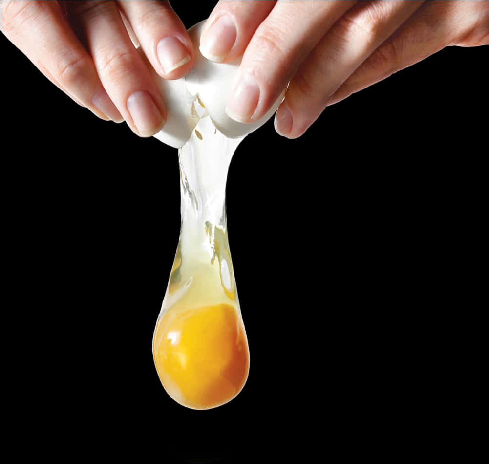 Egg Cracking Process