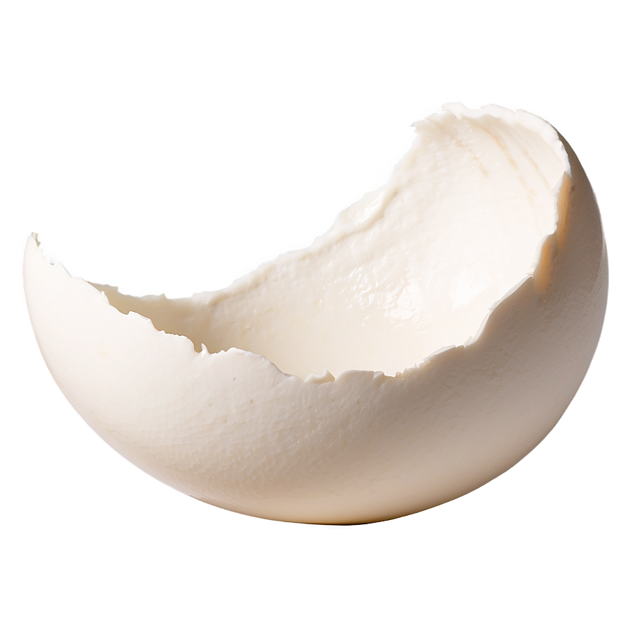 Eggshell Fragment Png 06132024