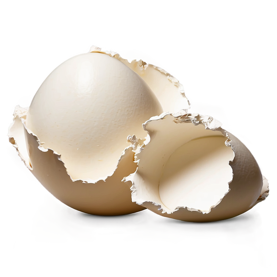 Eggshell Pieces Art Png Gif62