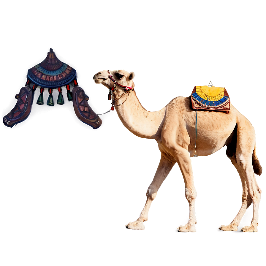 Egyptian Camel Png 05212024