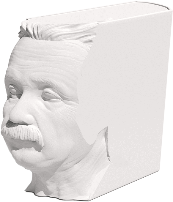 Einstein Bust3 D Model