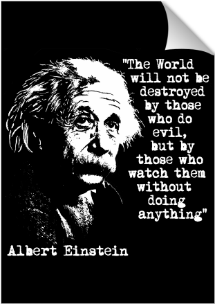 Einstein Quote World Evil Watchers