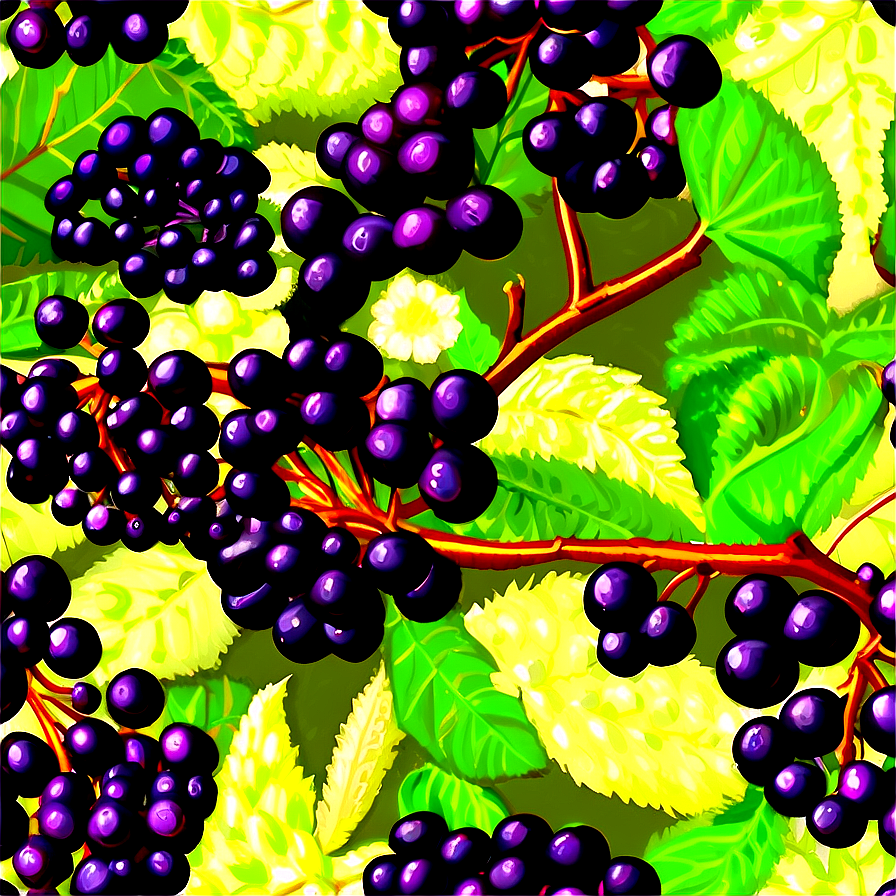 Elderberry Pattern Png Jvk