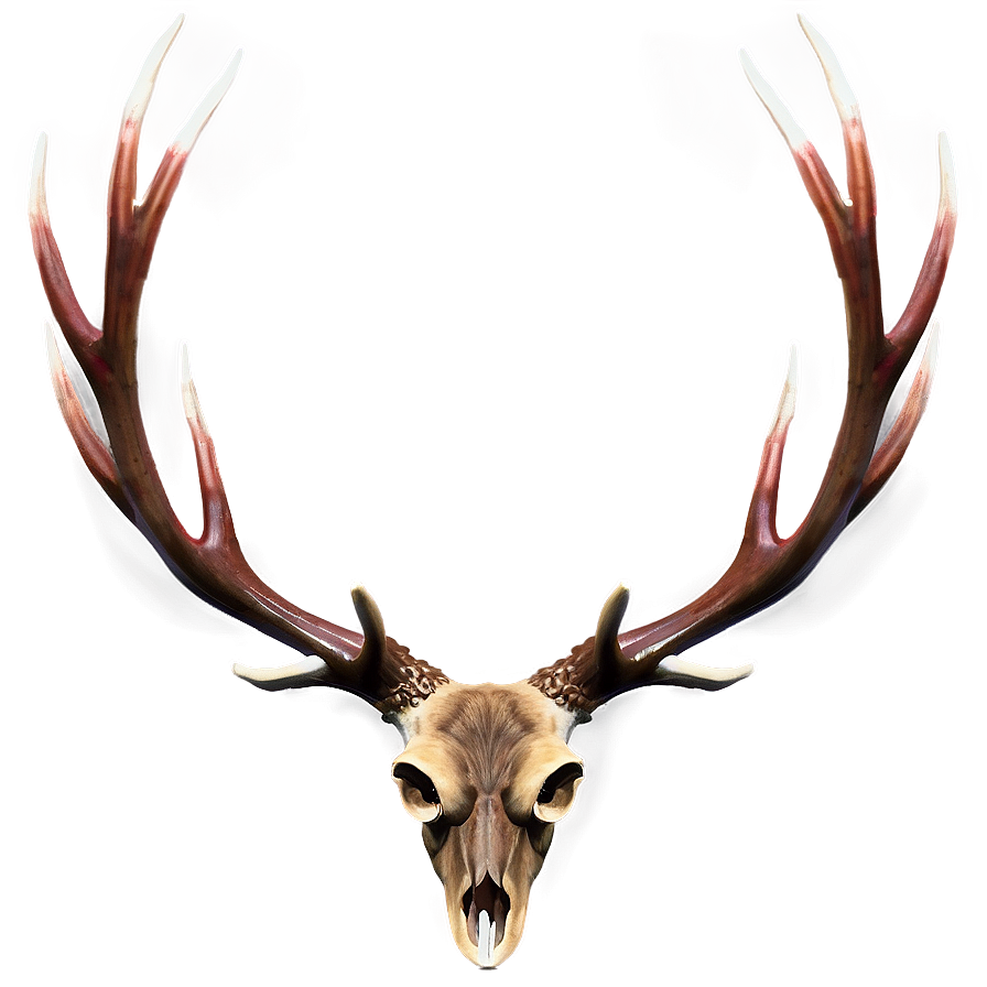 Elegant Antler Pattern Png Lgr